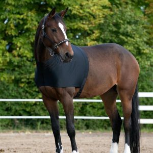 Horse Shoulder Guard Spandex Fabric Fitting Quick Release Portable Protector L