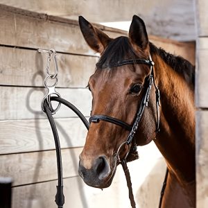 2pack Stainless Steel Horse Tie Ring with Eye Bolts and Snaps - Safe and Durable Horse Tack and Supplies for Training and Safety - Perfect for Pulling Back and Saddle Use