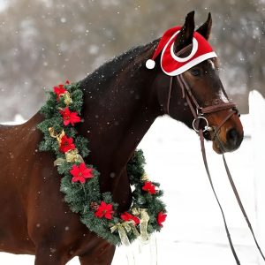 1pc Holiday Equestrian Costume, Red Christmas Santa Hat For Horse, Slip-On Cap With White Fleece Trim, Festive Horse Headwear For Christmas Parade