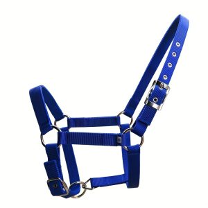 Durable Polyamide Horse Halter - 25mm Thick PP Webbing with Reinforced Silver Belt Buckles, Metal Eyelets - Single Pack